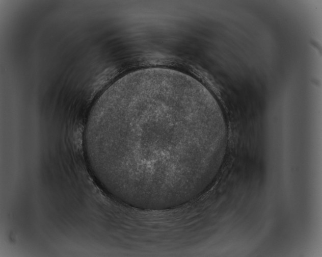 X0000092330010200710051323