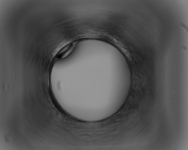 X0000092330011200710051323