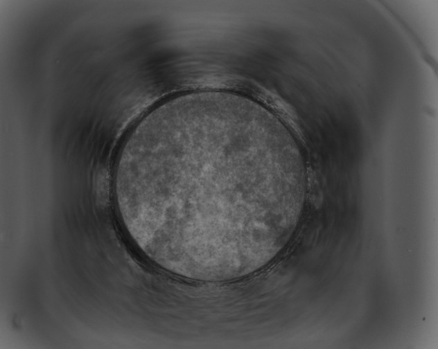 X0000092330012200710051323