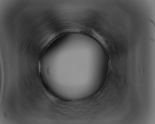 X0000092330013200710051323