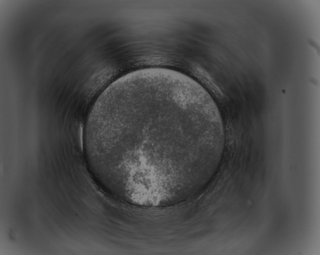 X0000092330014200710051323