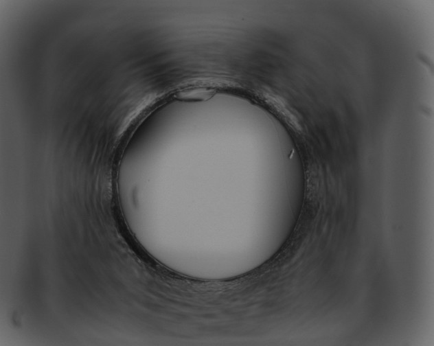 X0000092330015200710051323