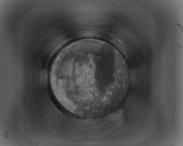 X0000092330016200710051323