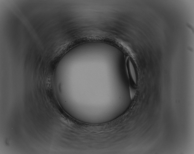 X0000092330017200710051323