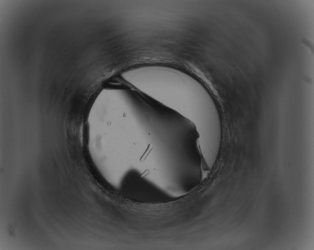 X0000092330019200710051323