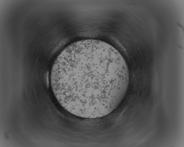 X0000092330020200710051323