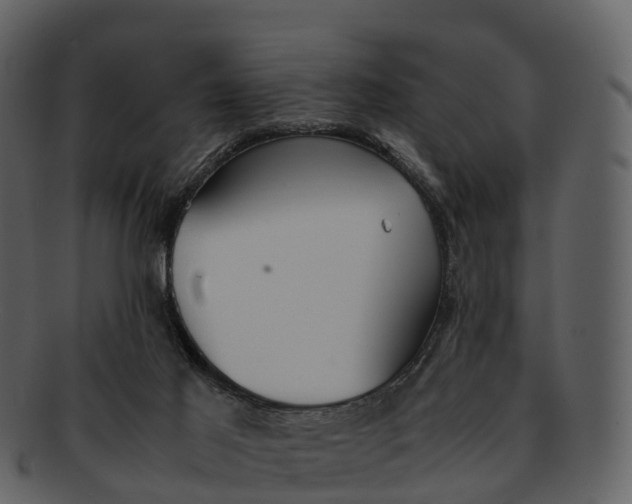 X0000092330021200710051323