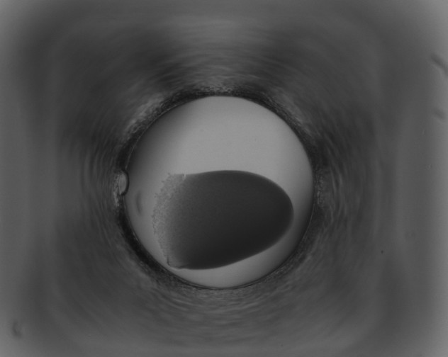 X0000092330023200710051323