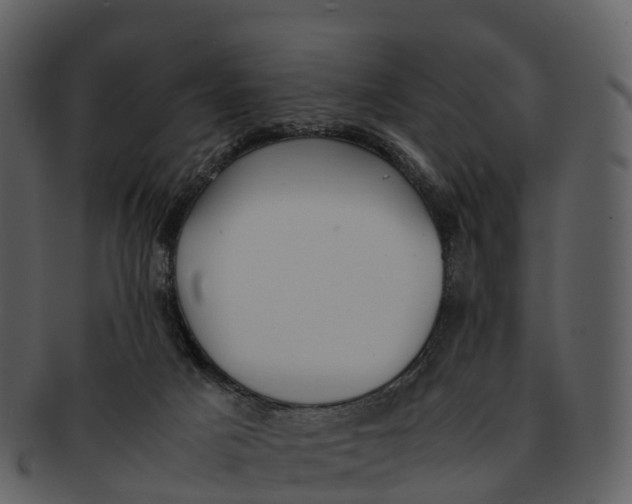 X0000092330025200710051323