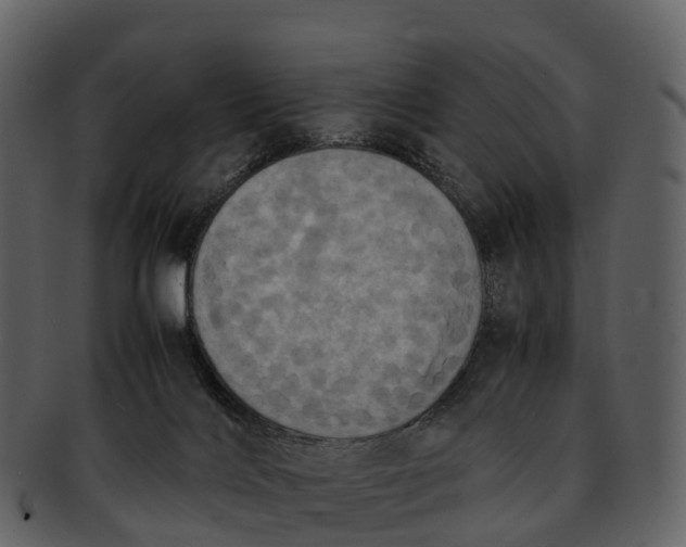 X0000092330028200710051323