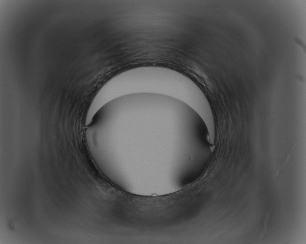 X0000092330029200710051323