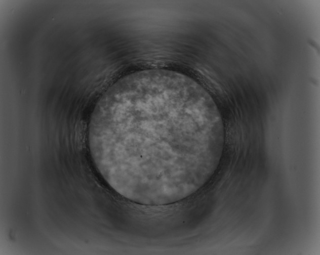 X0000092330030200710051323