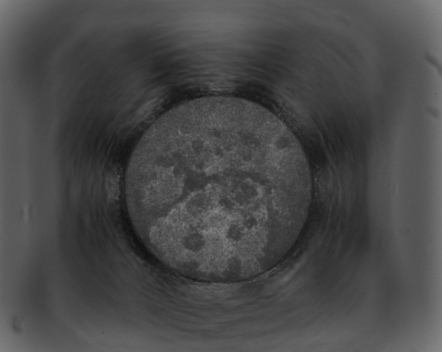 X0000092330032200710051323