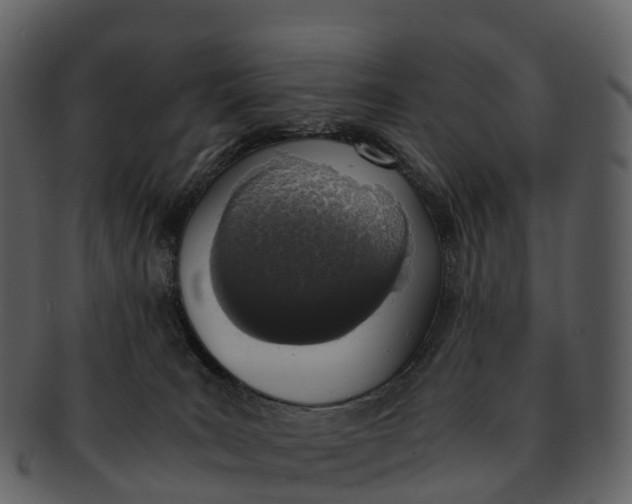 X0000092330035200710051323