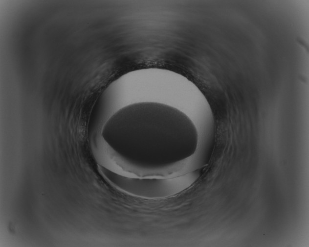 X0000092330039200710051323