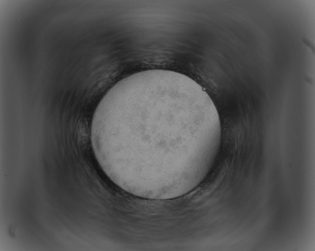 X0000092330040200710051323