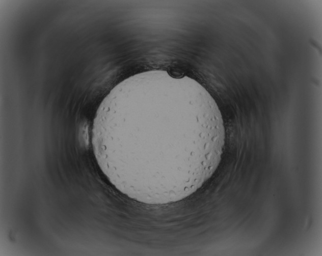 X0000092330042200710051323