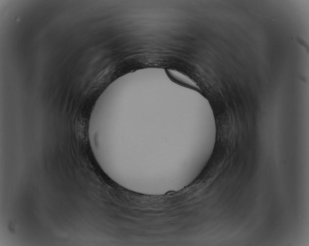 X0000092330044200710051323