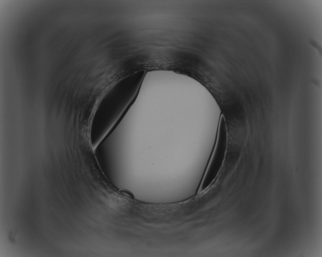 X0000092330045200710051323