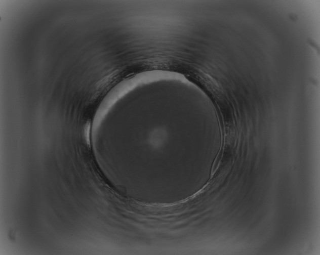 X0000092330047200710051323