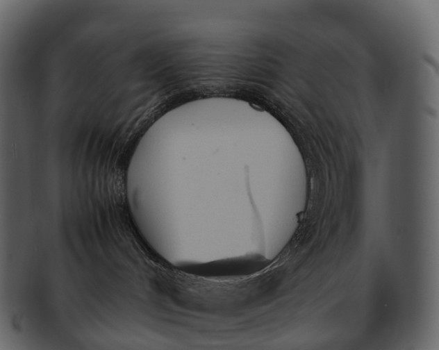 X0000092330048200710051323