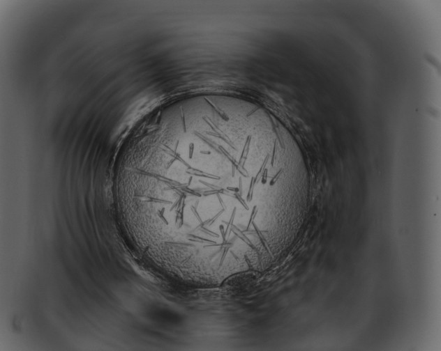 X0000092330050200710051322