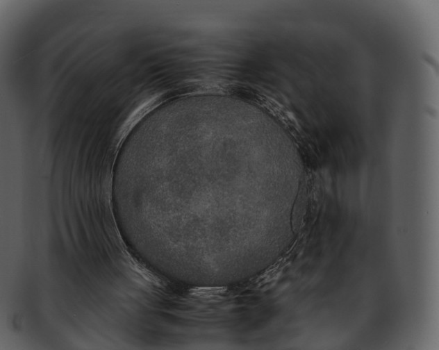 X0000092330051200710051322