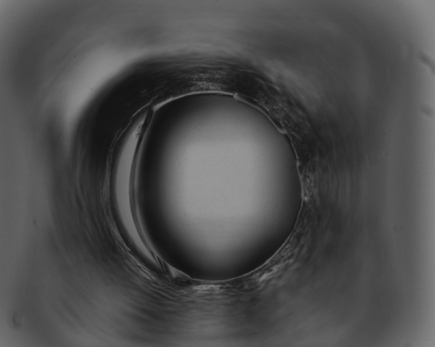 X0000092330052200710051322