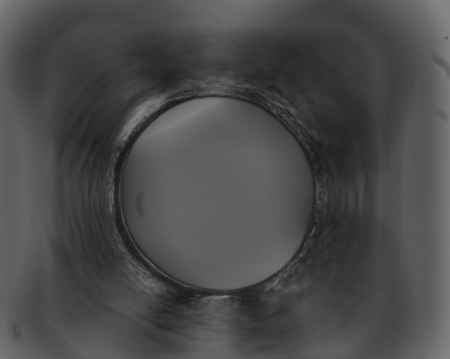 X0000092330054200710051322