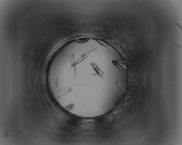 X0000092330055200710051322