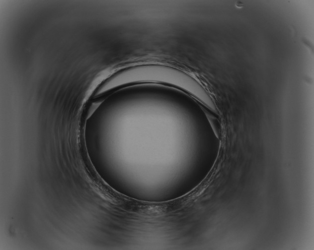 X0000092330056200710051322