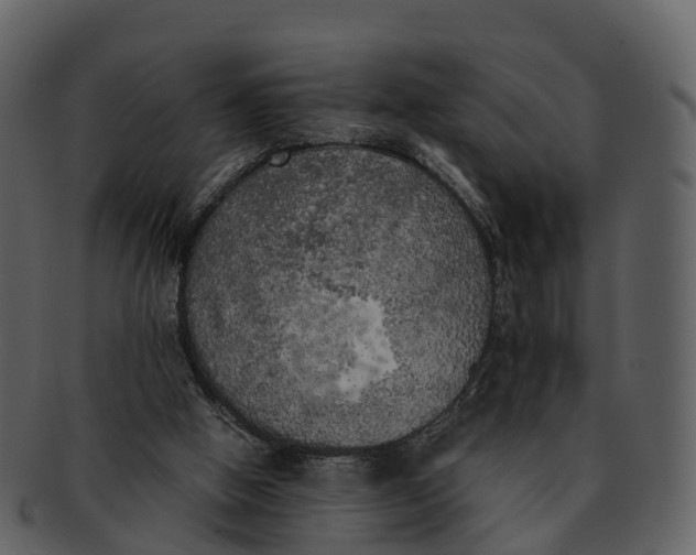 X0000092330058200710051322