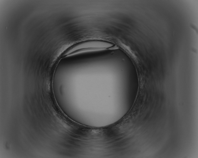 X0000092330060200710051322