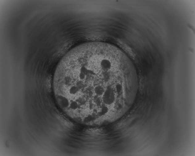 X0000092330065200710051322