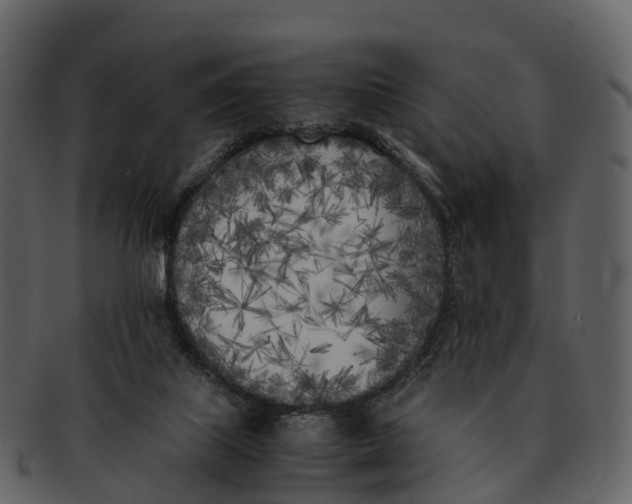 X0000092330067200710051322