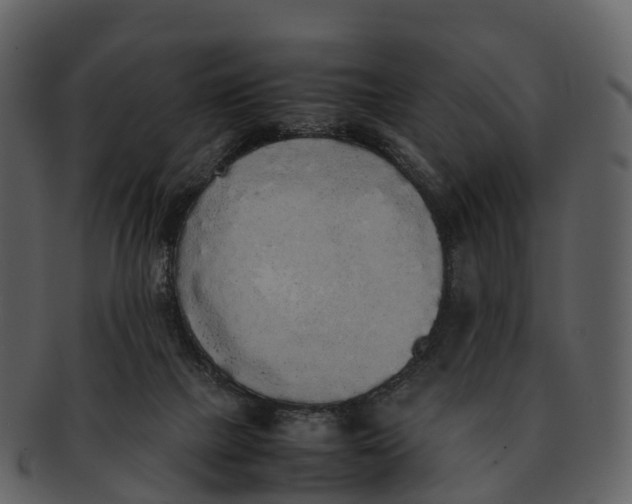 X0000092330073200710051322