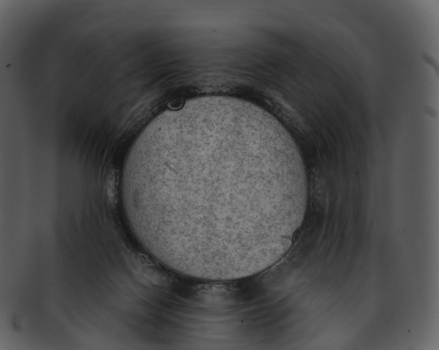X0000092330074200710051322