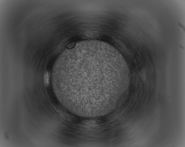 X0000092330075200710051322