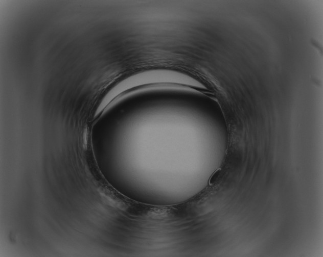 X0000092330076200710051322