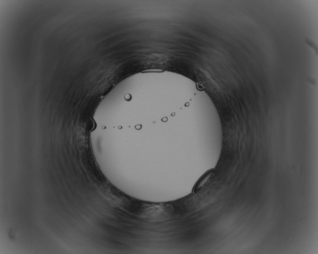 X0000092330083200710051322