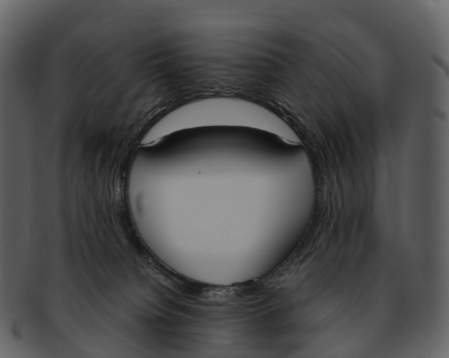 X0000092330084200710051322