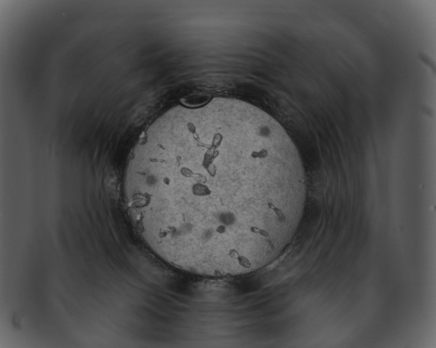 X0000092330086200710051322