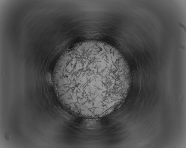 X0000092330089200710051322