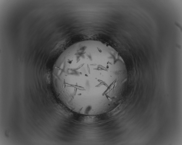 X0000092330090200710051323