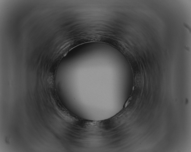 X0000092330092200710051323