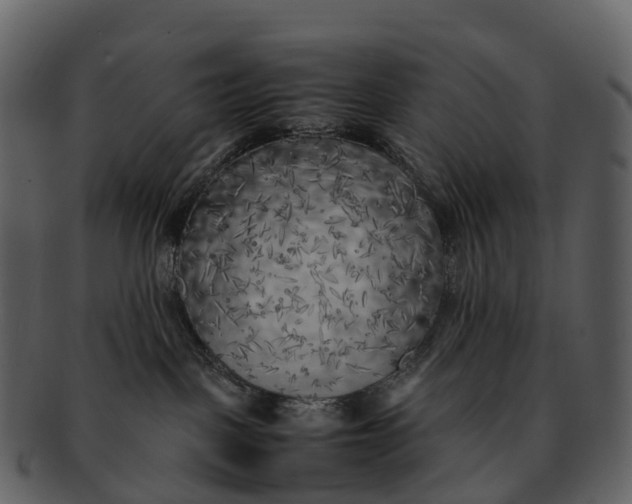 X0000092330093200710051323