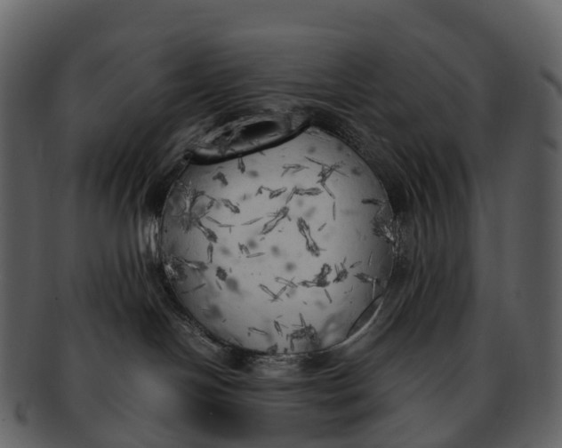 X0000092330094200710051323