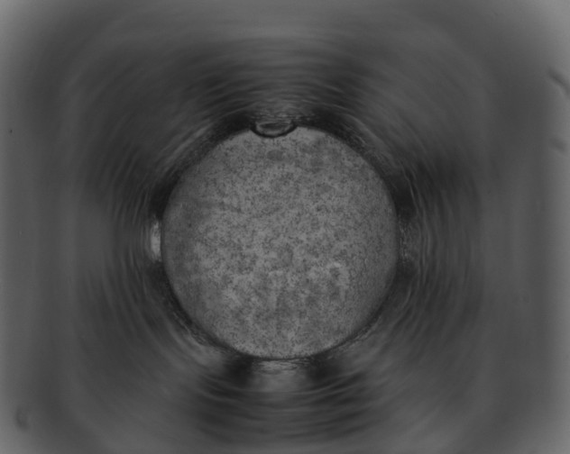 X0000092330095200710051323