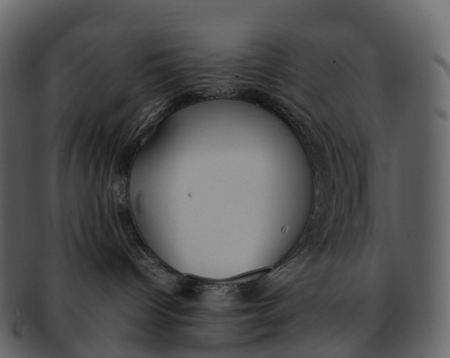 X0000092330096200710051323