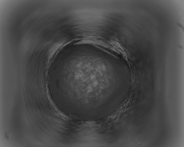 X0000092330097200710051322